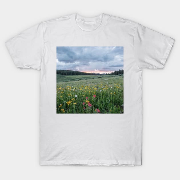 Wildflowers in the breeze II T-Shirt by RoseAesthetic